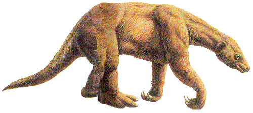 Shasta Ground Sloth