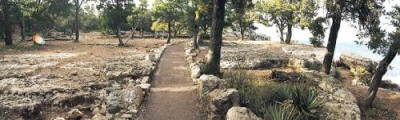 Rim Trail at Fossil Site