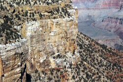 Coconino Sandstone Cliff