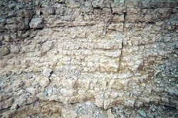 Muav Limestone Close-up